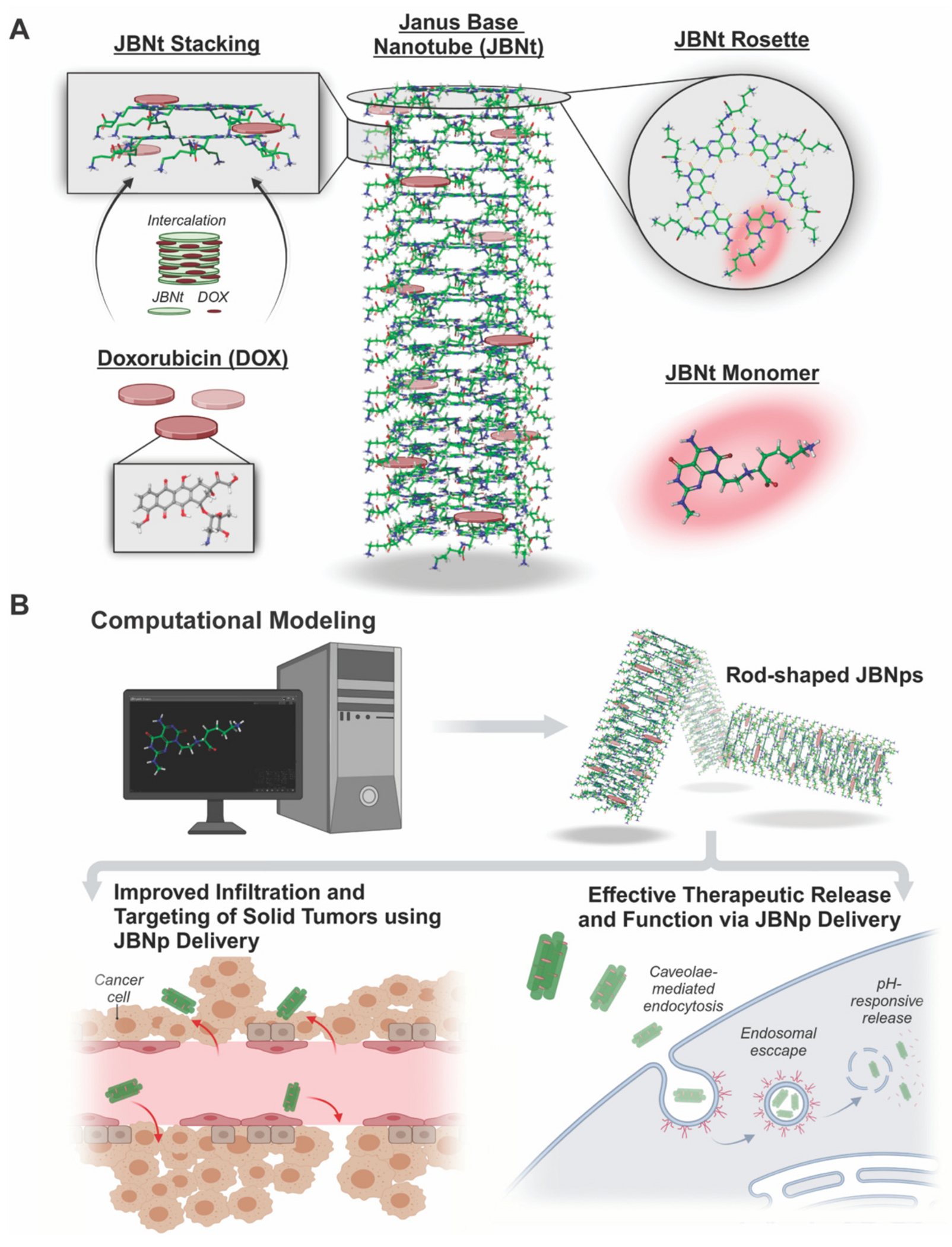 Published schematic of computation-aided rod-shaped nanoparticle design for tumor delivery